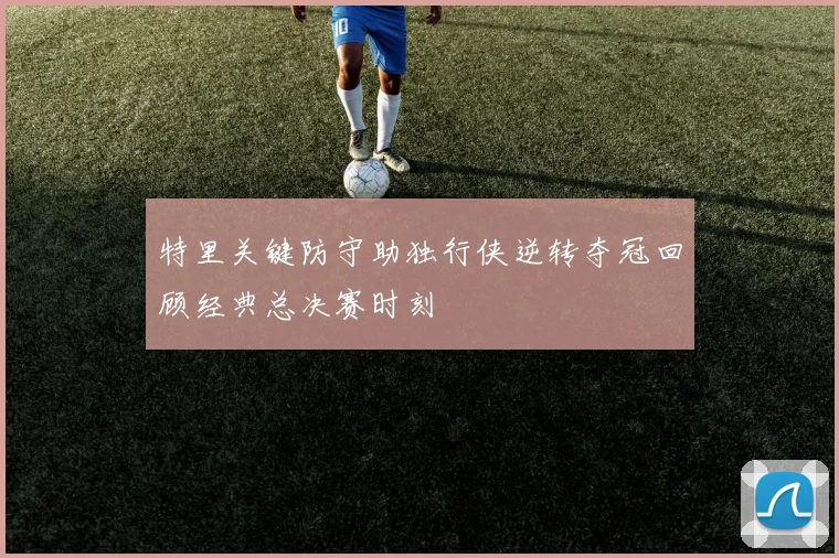 特里关键防守助独行侠逆转夺冠回顾经典总决赛时刻