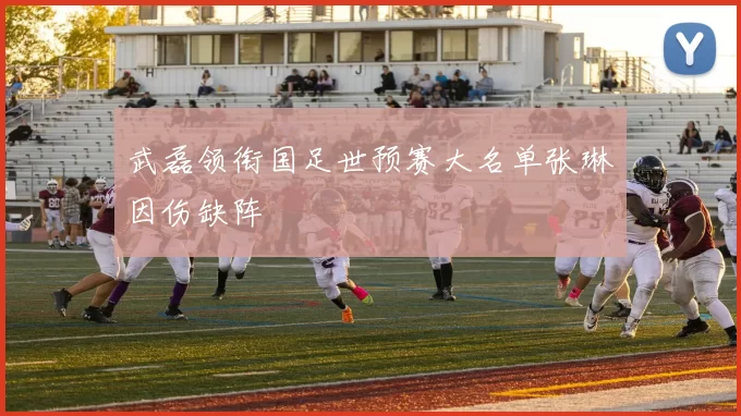 武磊领衔国足世预赛大名单张琳芃因伤缺阵