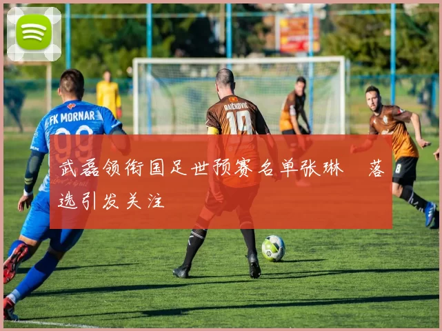 武磊领衔国足世预赛名单张琳芃落选引发关注