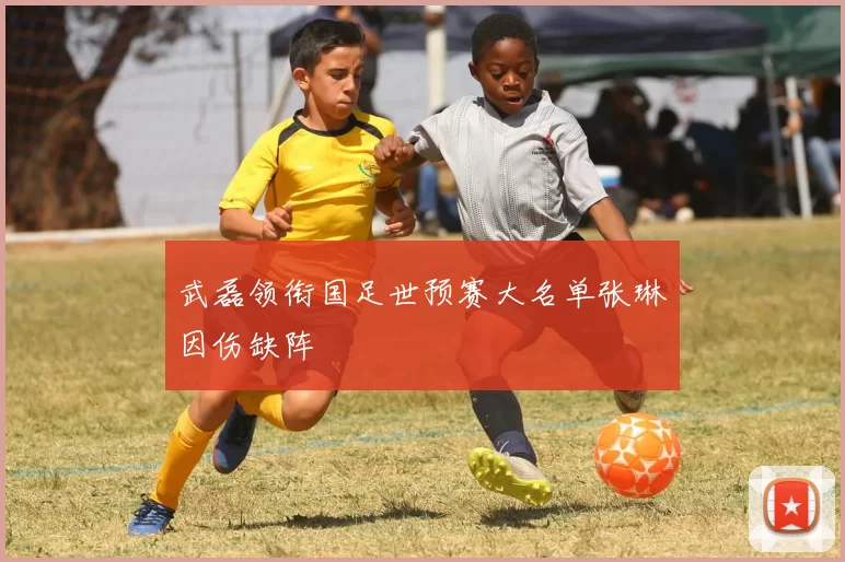 武磊领衔国足世预赛大名单张琳芃因伤缺阵